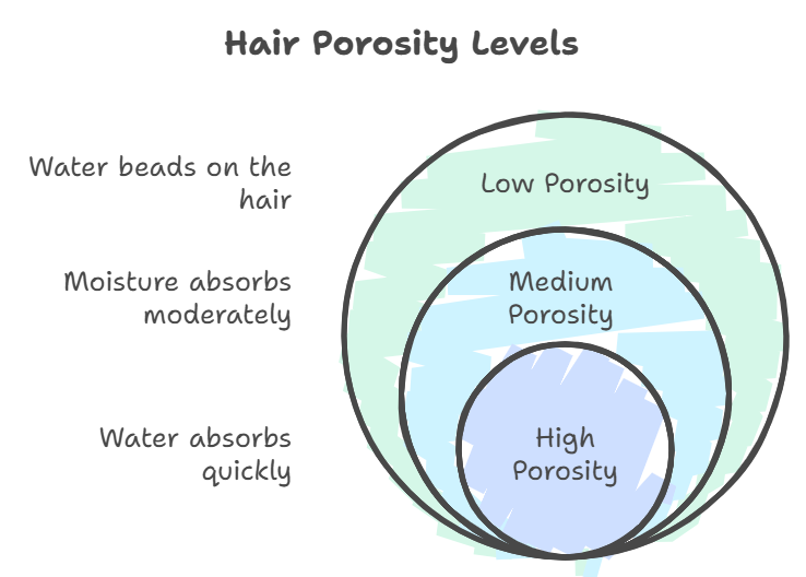 Hair Porosity Levels