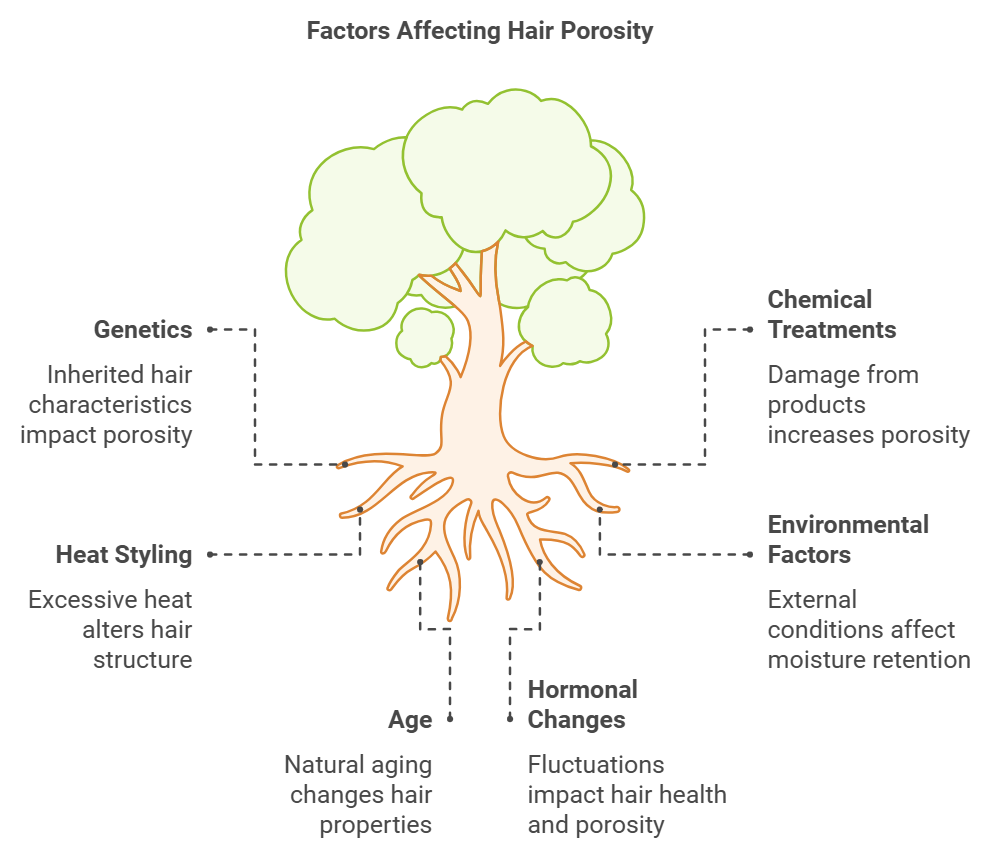 Factors Affecting Hair Porosity