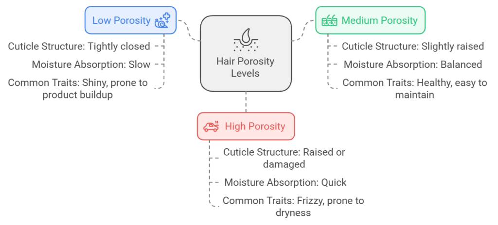 Types of Hair Porosity Low Medium High