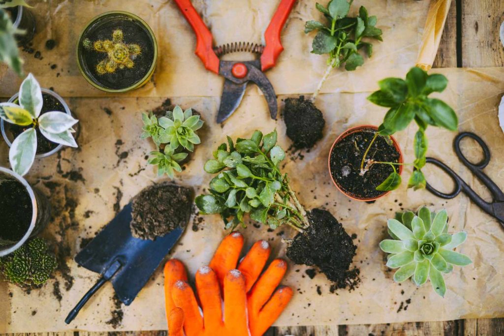 Top 10 Gardening Tools