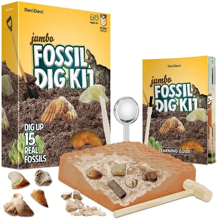 fossil dig kit